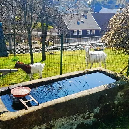 Ferienwohnung Kastanienhof Hinterhermsdorf Exterior foto